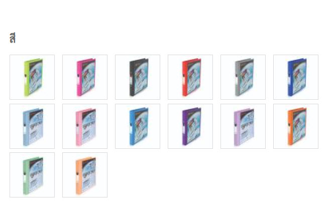 แฟ้ม 2 ห่วง ตราช้าง รุ่น 221A4 View Binder ขนาด A4 (สีเขียว)
